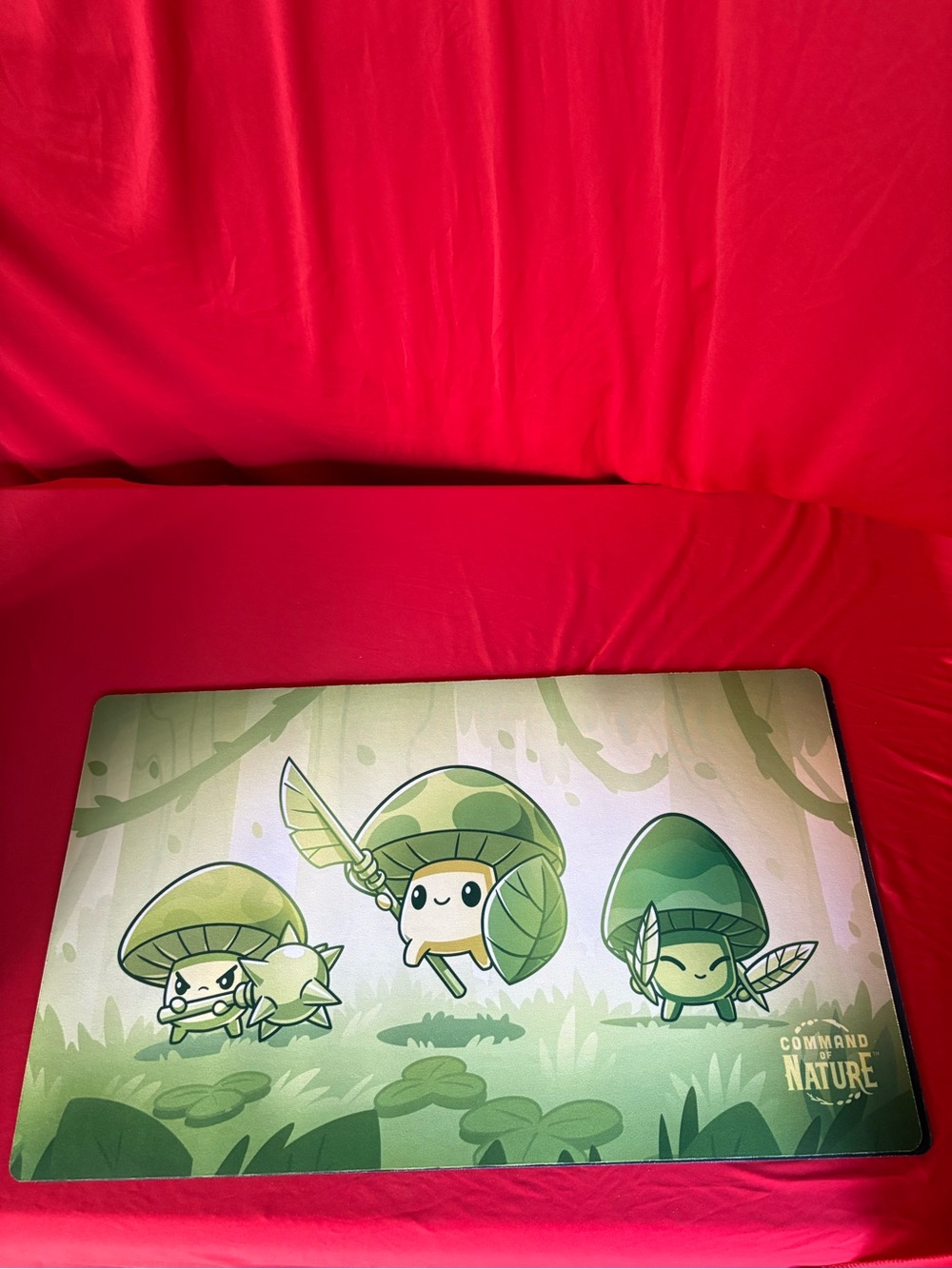 Command of Nature Play Mat from TeeTurtle.